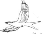 5646.JPG