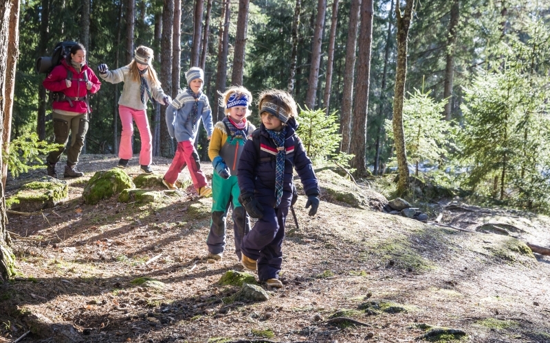 Speidere på tur i skog