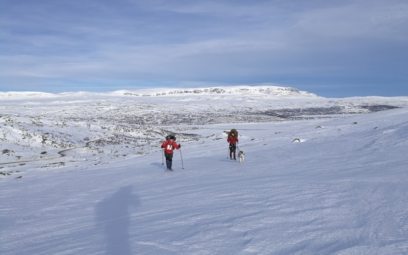 Speidere på ski i fjellet
