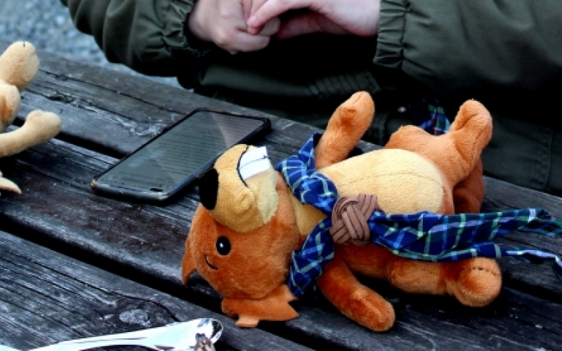 Bamser på benk med speiderskjerf