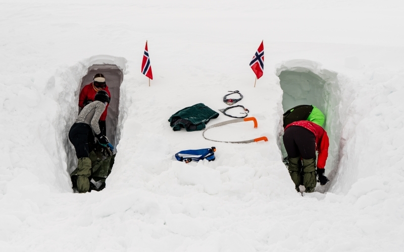 Rovere graver snøhule - åpning