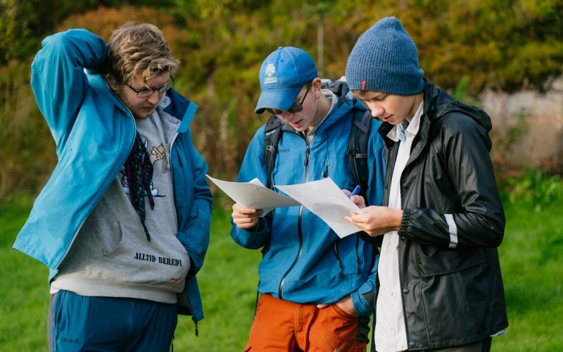 Tre rovere ser på oppgaver på ark