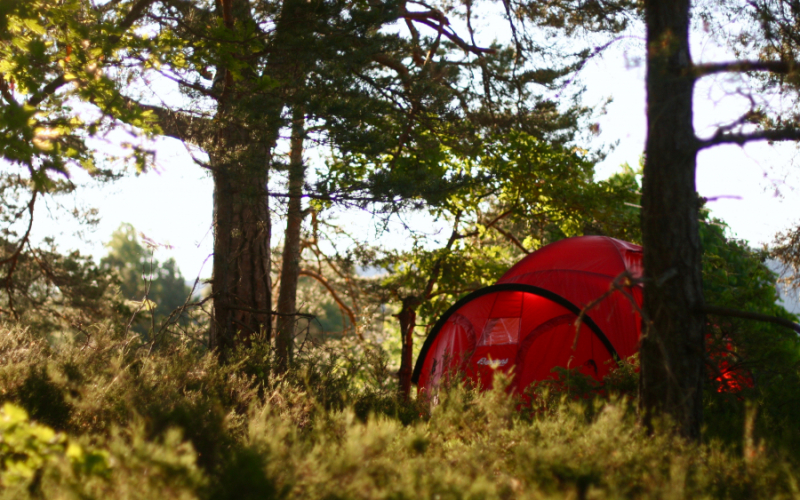 Rødt telt i morgensol. Foto: Synne Hansen