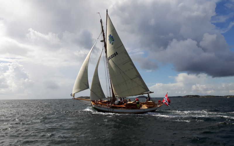bilde av havbraat