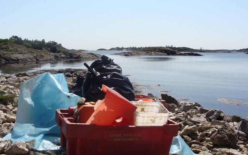 Strandryddedag