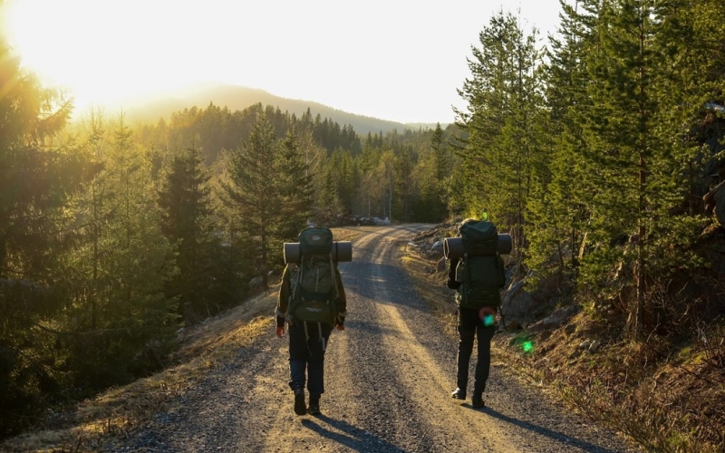 Webinar digitale verktøy