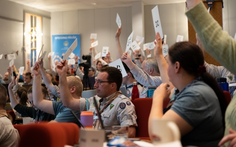 Representanter som stemmer på Speidertinget