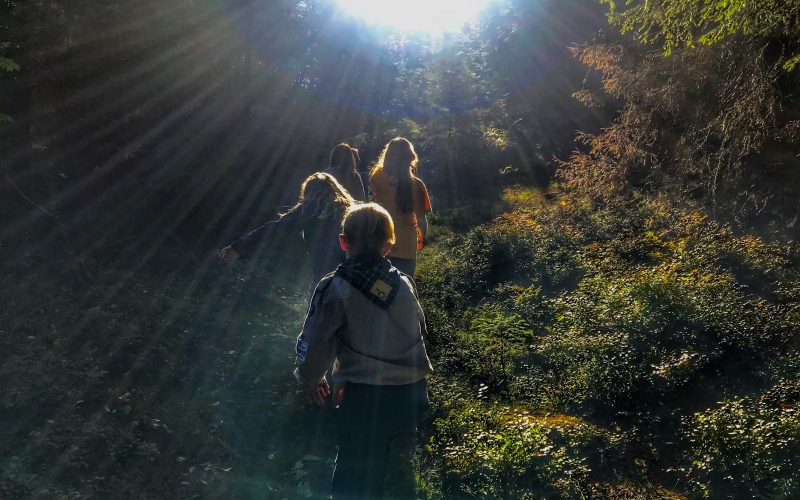 Småspeidere i skogen